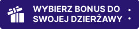 bonusy do dzierżawy