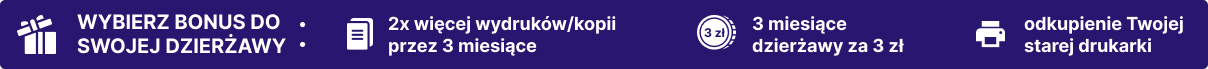 bonusy do dzierżawy